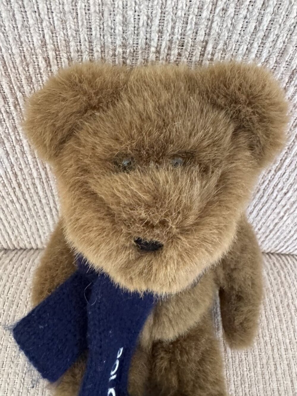 VTG Polo Ralph Lauren Teddy Bear 2001 Blue LOGO Scarf Plush Stuffed Animal - Picture 3 of 5